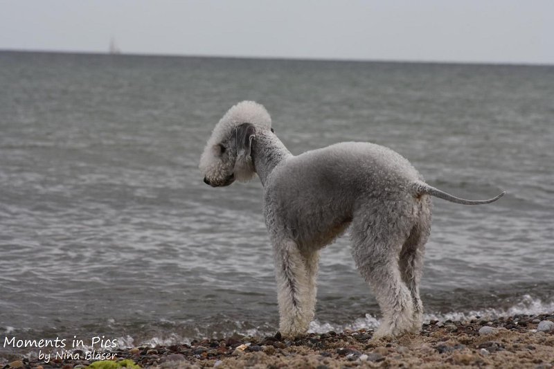 2010-06-26 Arc-en-ciel Arlequin (58).jpg